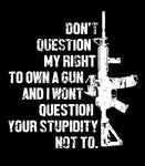 Don't Question my right to own a gun and i wont question your stupidity not to  Hoodie | 2nd amendment | Pro Gun | Firearms | Unisex Hoodie