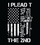 I Plead The 2nd | we the People Hoodie | AR Rifle | 2nd amendment Hoodie | Defend The 2nd | Pro Gun | USA Flag | Unisex Hoodie